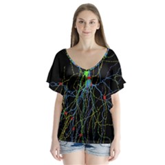 Synaptic Connections Between Pyramida Neurons And Gabaergic Interneurons Were Labeled Biotin During V-neck Flutter Sleeve Top by Mariart