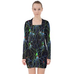 Synaptic Connections Between Pyramida Neurons And Gabaergic Interneurons Were Labeled Biotin During V-neck Bodycon Long Sleeve Dress by Mariart