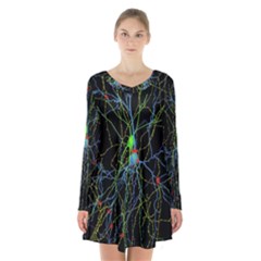 Synaptic Connections Between Pyramida Neurons And Gabaergic Interneurons Were Labeled Biotin During Long Sleeve Velvet V-neck Dress