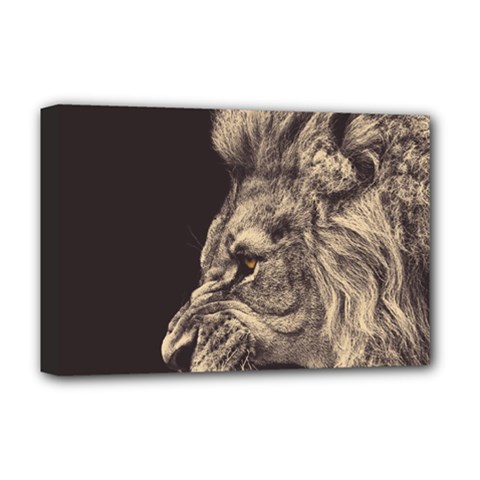 Angry Male Lion Deluxe Canvas 18  x 12  