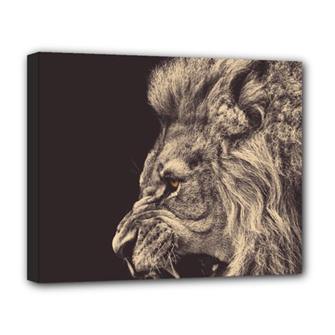 Angry Male Lion Deluxe Canvas 20  x 16  