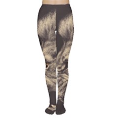 Angry Male Lion Women s Tights