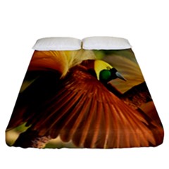 Birds Paradise Cendrawasih Fitted Sheet (california King Size)