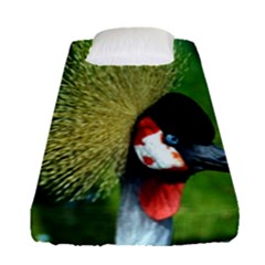 Bird Hairstyle Animals Sexy Beauty Fitted Sheet (single Size) by Mariart