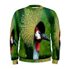 Bird Hairstyle Animals Sexy Beauty Men s Sweatshirt