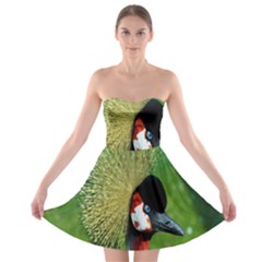 Bird Hairstyle Animals Sexy Beauty Strapless Bra Top Dress by Mariart