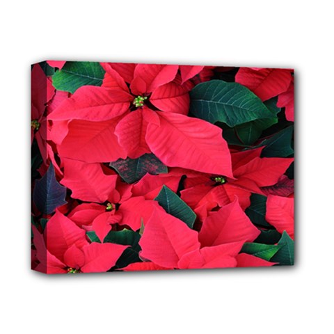Red Poinsettia Flower Deluxe Canvas 14  X 11 