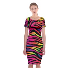 Rainbow Zebra Classic Short Sleeve Midi Dress