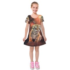 Cute Little Tiger Baby Kids  Short Sleeve Velvet Dress by FantasyWorld7