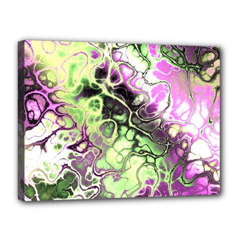 Awesome Fractal 35d Canvas 16  x 12 