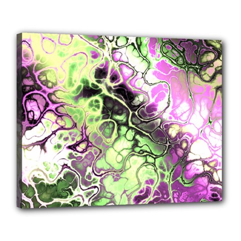 Awesome Fractal 35d Canvas 20  x 16 