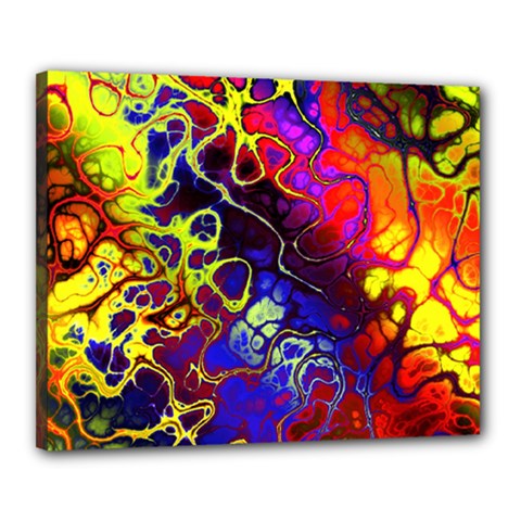 Awesome Fractal 35c Canvas 20  x 16 