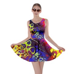 Awesome Fractal 35c Skater Dress