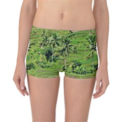 Greenery Paddy Fields Rice Crops Boyleg Bikini Bottoms