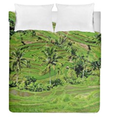 Greenery Paddy Fields Rice Crops Duvet Cover Double Side (queen Size) by Nexatart