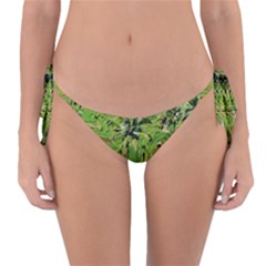 Greenery Paddy Fields Rice Crops Reversible Bikini Bottom by Nexatart