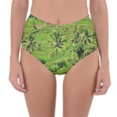 Greenery Paddy Fields Rice Crops Reversible High-waist Bikini Bottoms by Nexatart