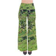 Greenery Paddy Fields Rice Crops Pants by Nexatart