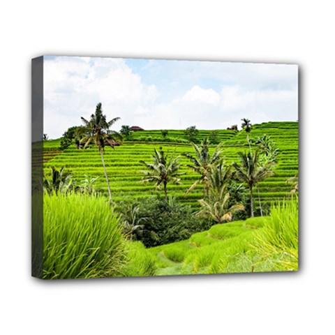 Bali Rice Terraces Landscape Rice Canvas 10  X 8  by Nexatart