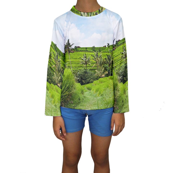 Bali Rice Terraces Landscape Rice Kids  Long Sleeve Swimwear