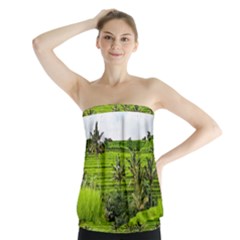 Bali Rice Terraces Landscape Rice Strapless Top by Nexatart
