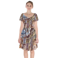 Baroque Church Collegiate Church Short Sleeve Bardot Dress