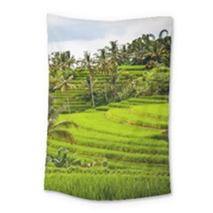 Rice Terrace Terraces Small Tapestry by Nexatart