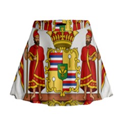 Kingdom Of Hawaii Coat Of Arms, 1850-1893 Mini Flare Skirt by abbeyz71