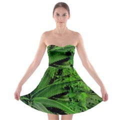 Vivid Tropical Design Strapless Bra Top Dress by dflcprints