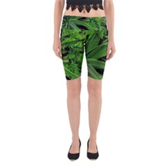 Vivid Tropical Design Yoga Cropped Leggings by dflcprints