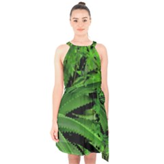 Vivid Tropical Design Halter Collar Waist Tie Chiffon Dress by dflcprints