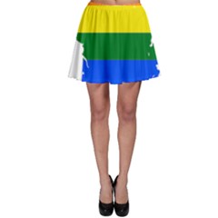 Flag Map Stripes Line Colorful Skater Skirt