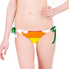 Flag Map Stripes Line Colorful Bikini Bottom