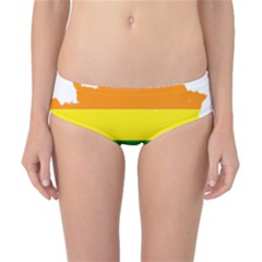 Flag Map Stripes Line Colorful Classic Bikini Bottoms