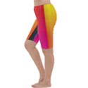 Rainbow Stripes Vertical Lines Colorful Blue Pink Orange Green Cropped Leggings  View2