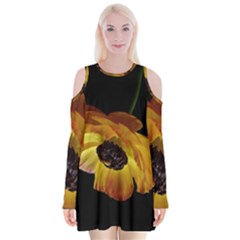 Ranunculus Yellow Orange Blossom Velvet Long Sleeve Shoulder Cutout Dress