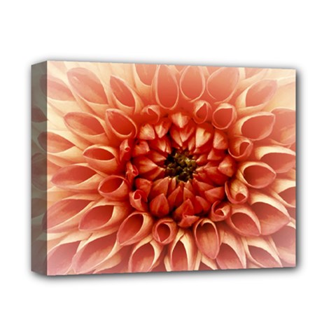 Dahlia Flower Joy Nature Luck Deluxe Canvas 14  X 11  by Nexatart