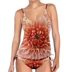 Dahlia Flower Joy Nature Luck Tankini Set by Nexatart