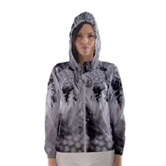 Pineapple Market Fruit Food Fresh Hooded Wind Breaker (women) by Nexatart