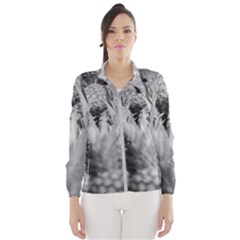 Pineapple Market Fruit Food Fresh Wind Breaker (women) by Nexatart