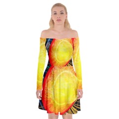 Cross Section Earth Field Lines Geomagnetic Hot Off Shoulder Skater Dress by Mariart