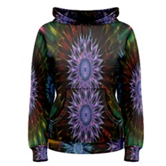 Flower Stigma Colorful Rainbow Animation Gold Space Women s Pullover Hoodie by Mariart