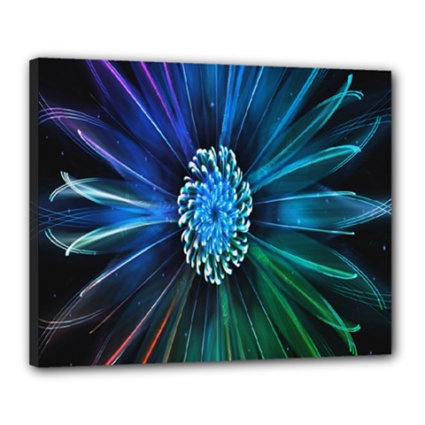 Flower Stigma Colorful Rainbow Animation Space Canvas 20  x 16 