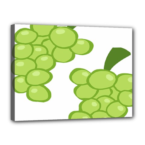 Fruit Green Grape Canvas 16  X 12 