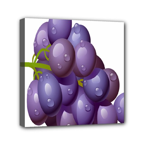 Grape Fruit Mini Canvas 6  X 6 