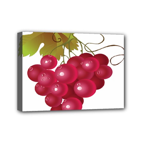 Red Fruit Grape Mini Canvas 7  X 5  by Mariart
