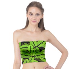 Nature Print Pattern Tube Top by dflcprints