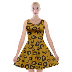 Golden Leopard Velvet Skater Dress by TRENDYcouture