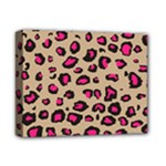 Pink Leopard 2 Deluxe Canvas 14  x 11 