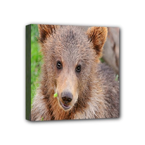 Baby Bear Animals Mini Canvas 4  X 4  by Mariart